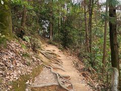 -云碧峰国家森林公园