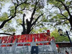 -大槐树寻根祭祖园