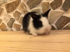 -龙猫仔乐园(惠福东路店)