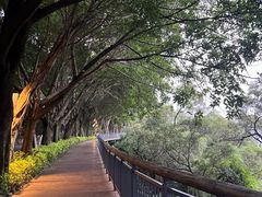 -金鸡山公园