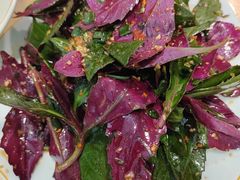 凉拌血皮菜-冯记豆花店(健翔桥店)