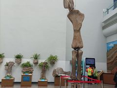 -自贡恐龙博物馆