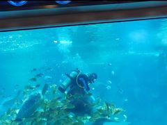 -石家庄海洋公园