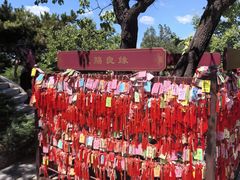 -香山公园