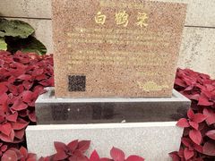 -白鹤梁水下博物馆