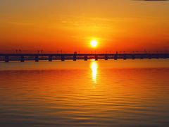 -白塘生态植物园