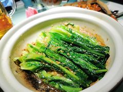 -三强鸽子(中原路店)