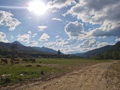 -黑河国家森林公园