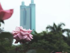 -人民公园(罗湖区)