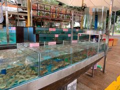 水产区-荔城生鲜盛宴(番禺旗舰店)