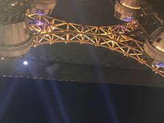 -影汇之星8字形摩天轮