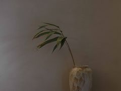-汤宴·参须肚包鸡(南京路店)