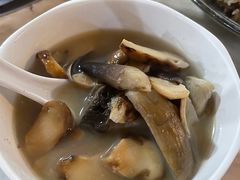 -蘑统田下·野生菌火锅