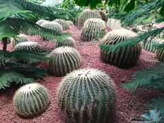 -呀路古热带植物园