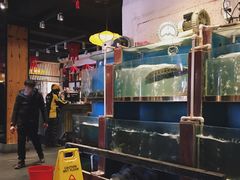 -巴渝菜舍曾氏麻辣风(霸州店)