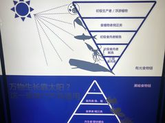 -同济大学四平路校区深海探索馆