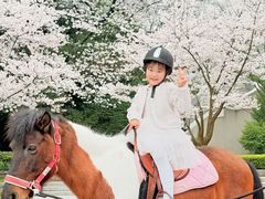 -杭州少年儿童公园