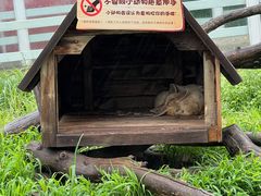 -齐齐哈尔龙沙动植物园