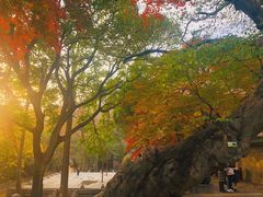 -青岛崂山太清宫