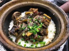 -红星光发煲仔饭(大石街店)