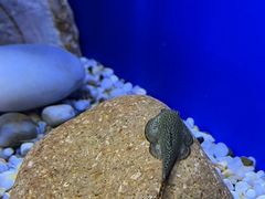 -上海海洋水族馆