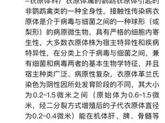 -青石桥花鸟鱼虫市场(叠翠城店)