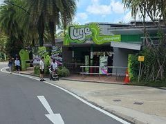 -圣淘沙天际线斜坡滑车