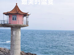 -小麦岛公园