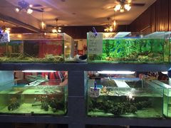 -真浪大家乐海鲜餐馆