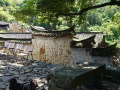 -杨家堂村
