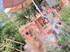 -荒度咖啡(北九水店)