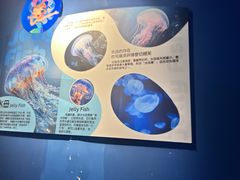 -海合安武汉极地海洋公园