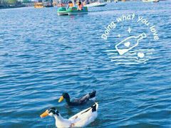 -西安汉城湖景区