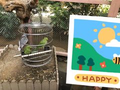 -南宫五洲植物乐园