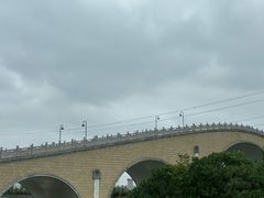 -宁波杭州湾国家湿地公园