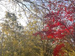 -梁鸿国家湿地公园