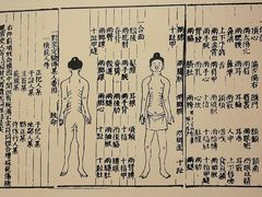 -广东中医药博物馆