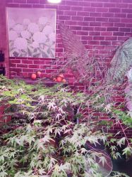 -青木造型HAIR·あおき髪を刈る潮人店