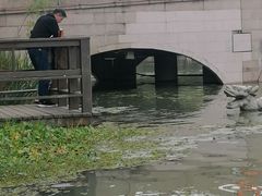 -昆山城市生态森林公园
