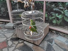 -南宫五洲植物乐园