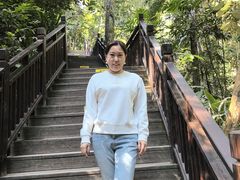 -西双版纳原始森林公园