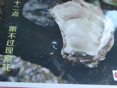 -福娣·金沙银贝海鲜火锅