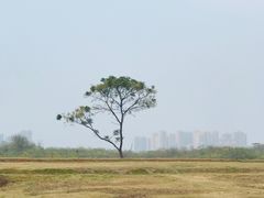 -盘龙城国家考古遗址公园