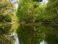 -上海共青森林公园