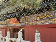 -潭柘寺景区