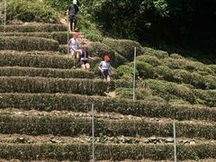 -西湖风景区十里琅珰-五云山