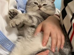 -大光明丽星VIP影城(昌里路杜比全景声店)