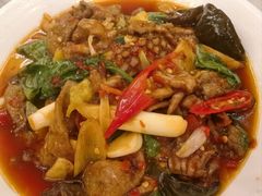 -陈麻婆豆腐总店