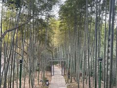 -杭州黄龙洞