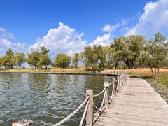 -野鸭湖国家湿地公园